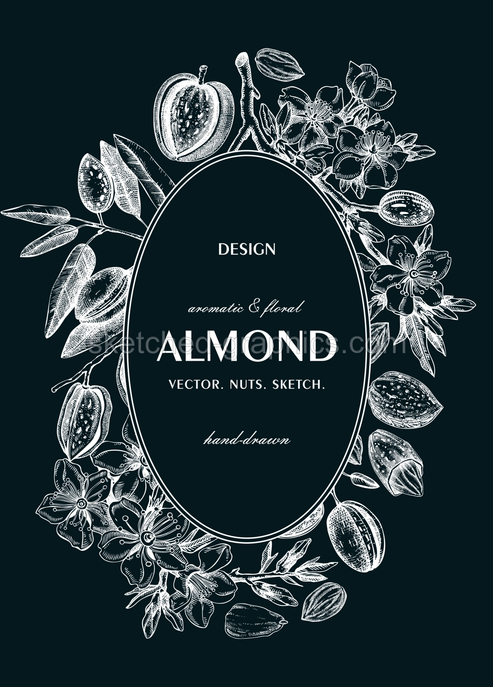 Almond nut wreath design.Blooming branches, nuts, flower sketches on chalkboard. Hand-drawn vector illustration. Botanical background. NOT AI generated Illustration
